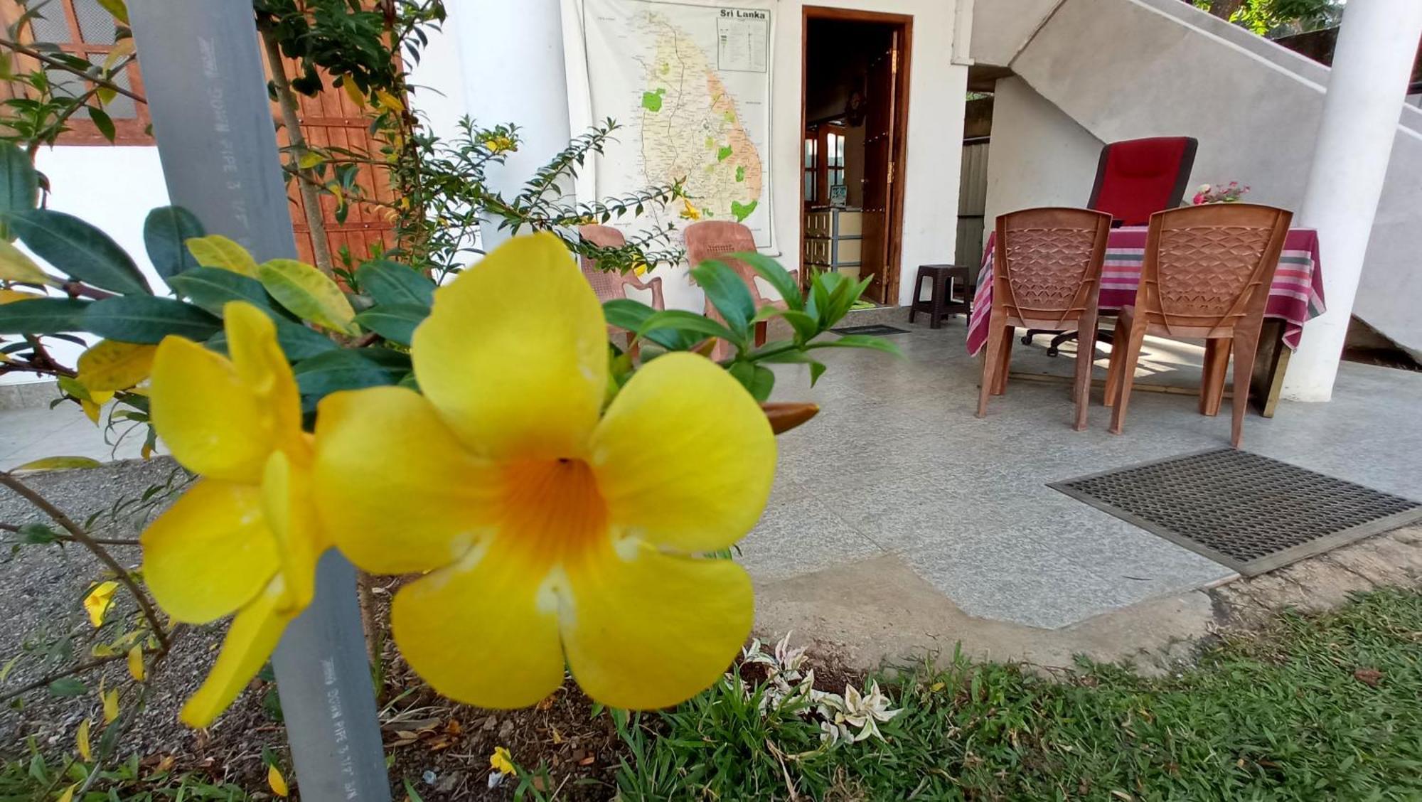 Safari Horizon Udawalawe Bed & Breakfast Exterior foto